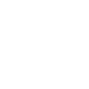 Icône du site web pour illustrer la création de logo et lettrines originales